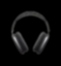 EARBUDS MAX