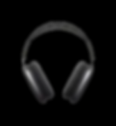 EARBUDS MAX