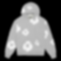 Denim Teer hoodie